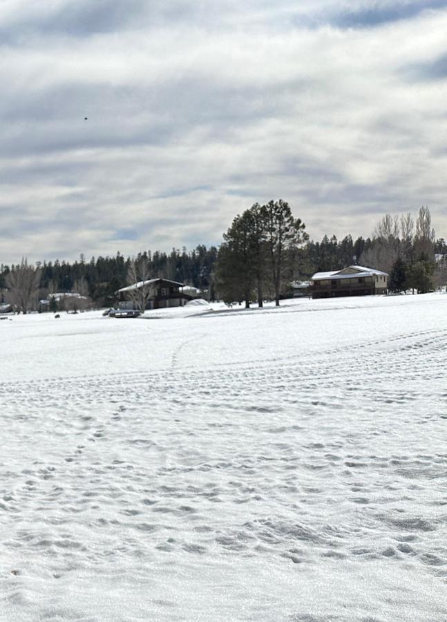 Relaxingrejuvenating 4Br 3 And Half Ba Cabin Munds Park Buitenkant foto